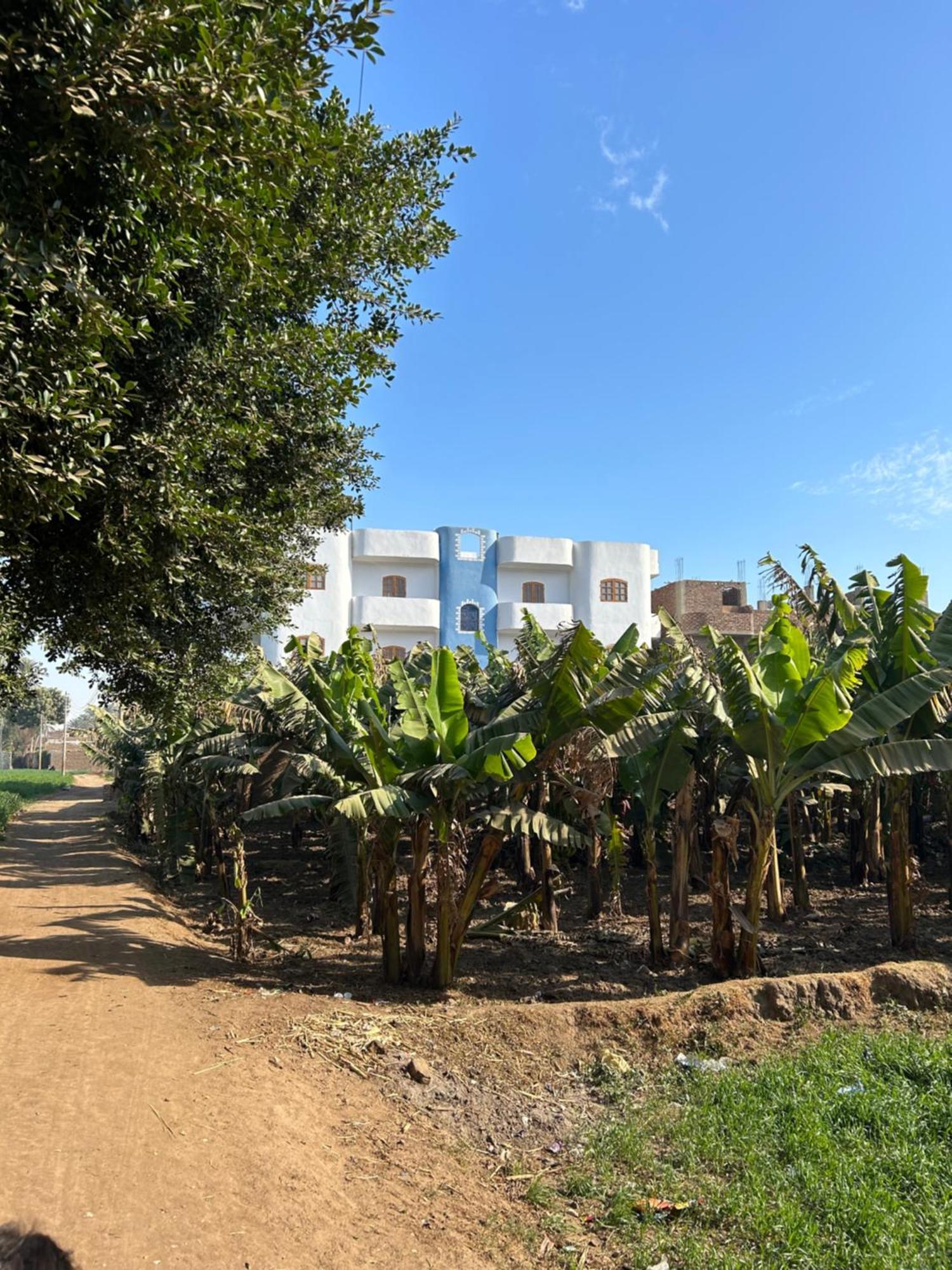 Lemon Tree Apartments Luxor Lel Agalta Extérieur photo